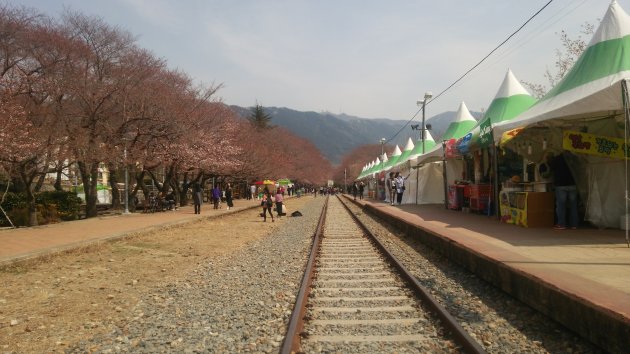 桜祭り前の慶和駅の風景